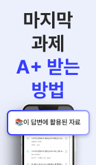 260604_기말AI